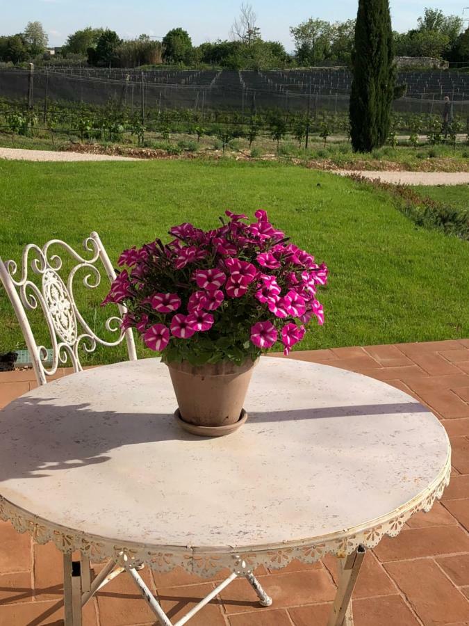 Quinto di Valpantena Maso Maroni Agriturismo מראה חיצוני תמונה
