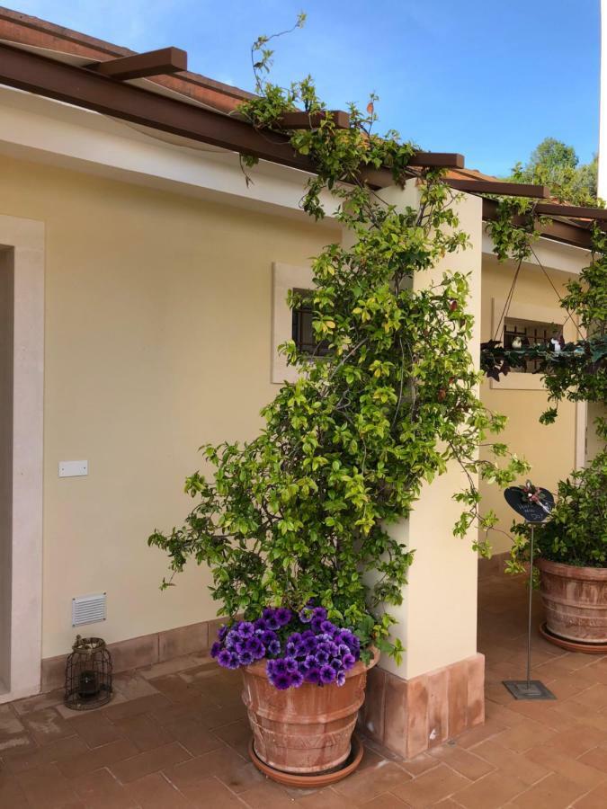 Quinto di Valpantena Maso Maroni Agriturismo מראה חיצוני תמונה