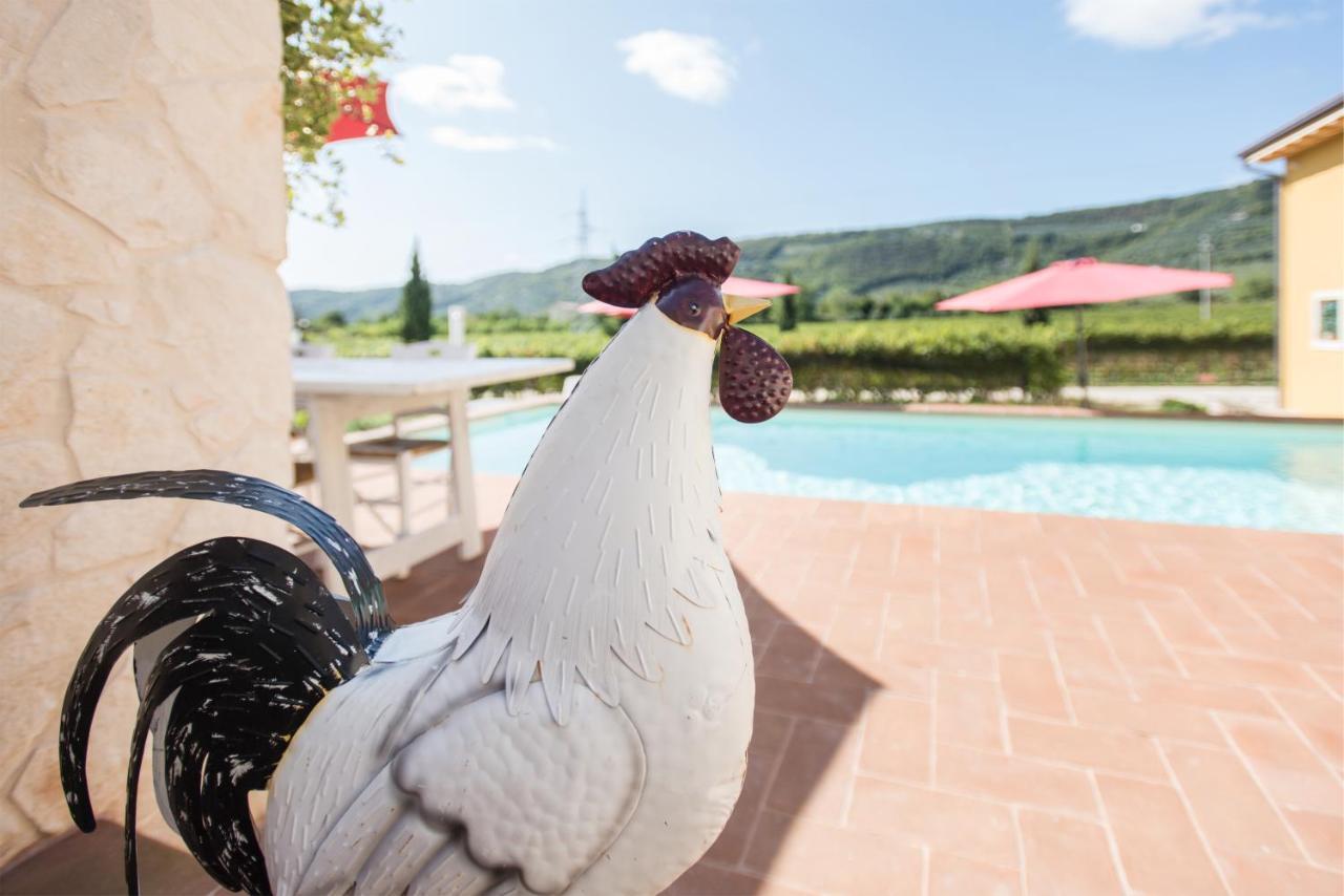 Quinto di Valpantena Maso Maroni Agriturismo מראה חיצוני תמונה