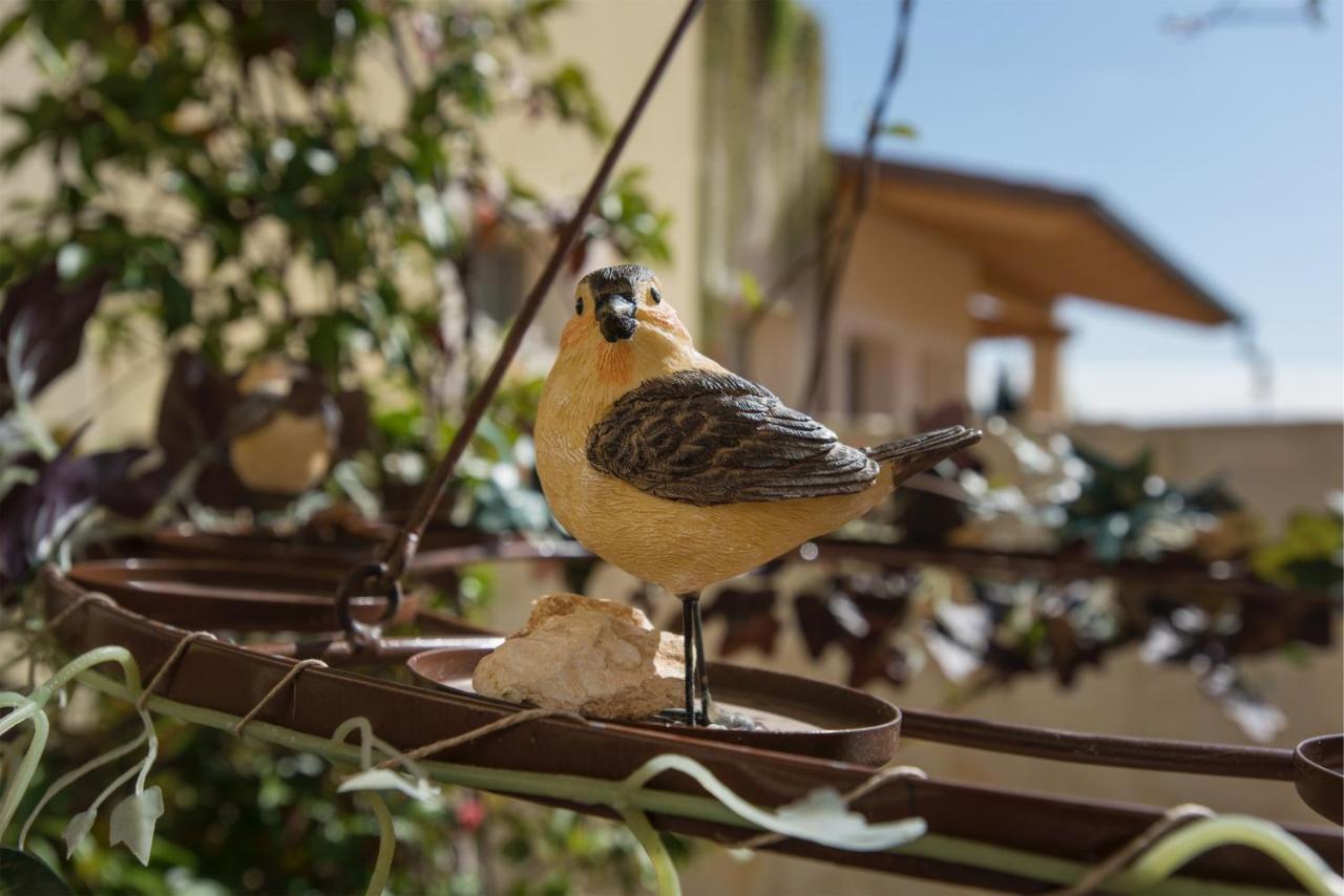 Quinto di Valpantena Maso Maroni Agriturismo מראה חיצוני תמונה