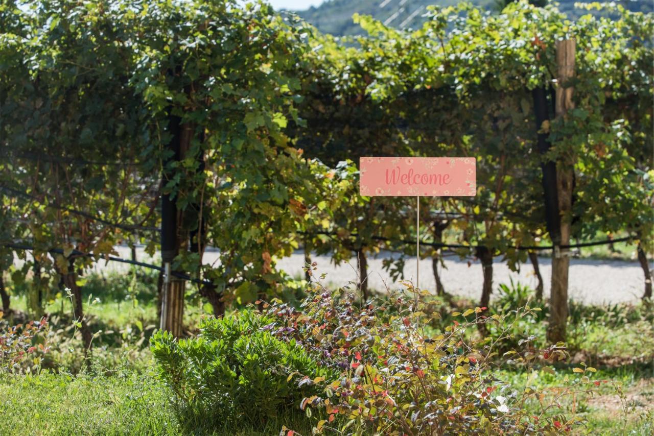 Quinto di Valpantena Maso Maroni Agriturismo מראה חיצוני תמונה